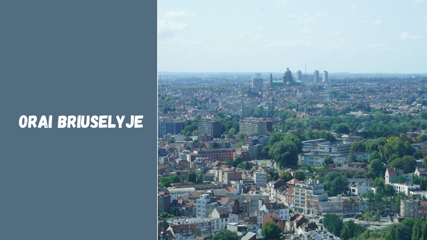 Orai Briuselyje: švelnus klimatas ir dažni krituliai