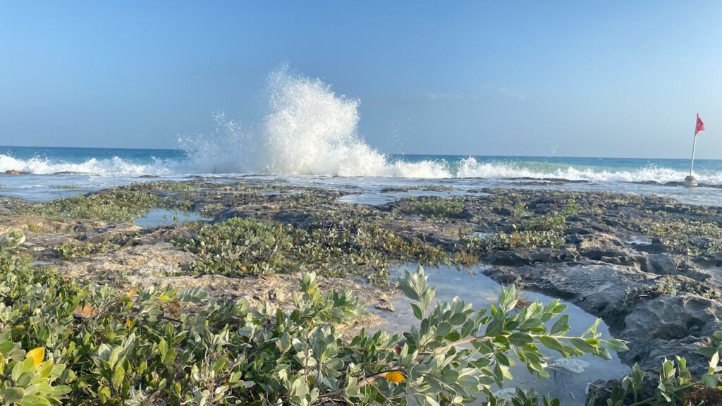 Tulumas – džiunglės, paplūdimiai ir majų griuvėsiai