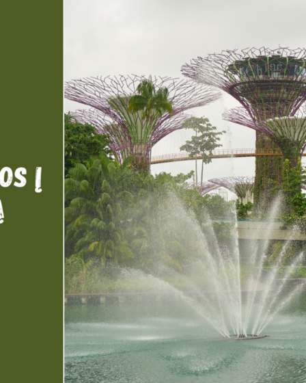 Ar reikia vizos į Singapūrą? Vizų taisyklės lietuviams ir kitiems keliautojams