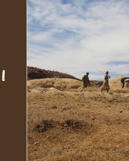 Keliaujam į Eritrėją: sostinė Asmara, lankytinos vietos ir kultūros mozaika