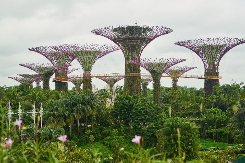 Gardens by the Bay