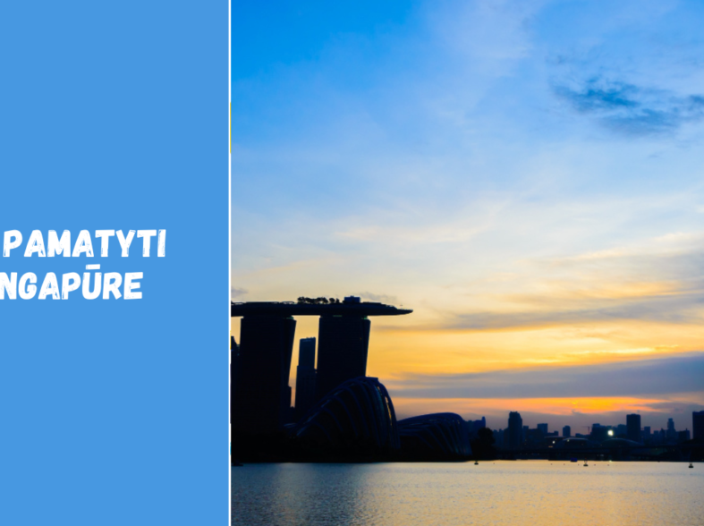 Ką pamatyti Singapūre: lankytinos vietos ir įžymybės