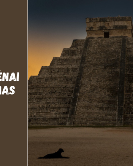 Meksikos indėnai ir jų palikimas