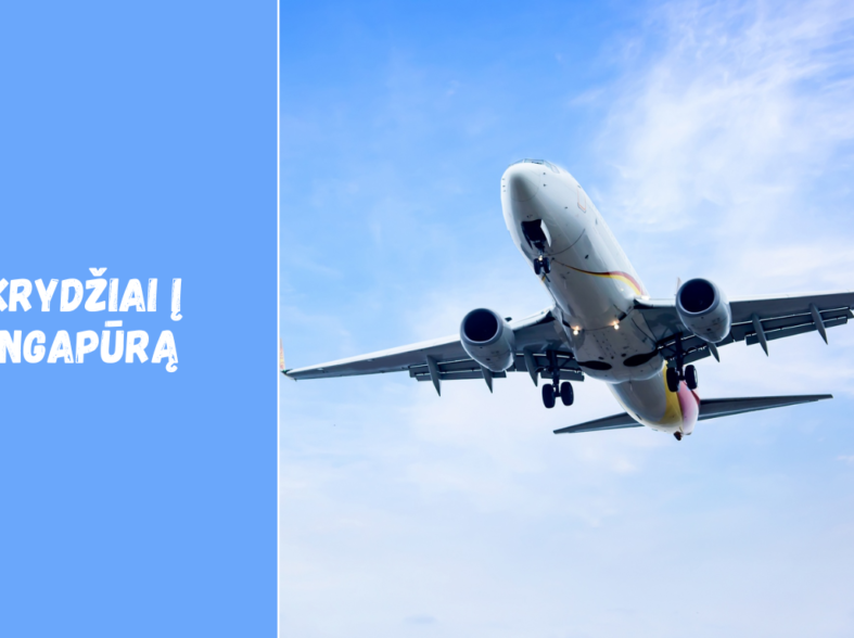 Skrydžiai į Singapūrą