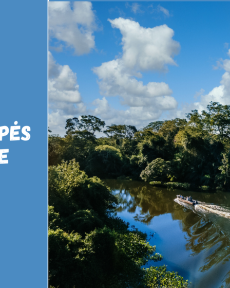 Didžiausios upės Brazilijoje: Amazonė ir kiti svarbūs vandens telkiniai