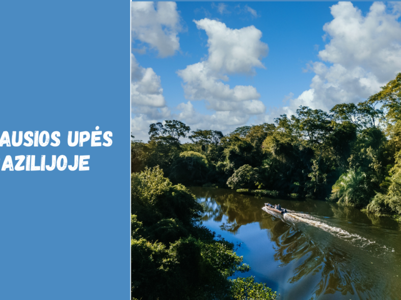 Didžiausios upės Brazilijoje: Amazonė ir kiti svarbūs vandens telkiniai