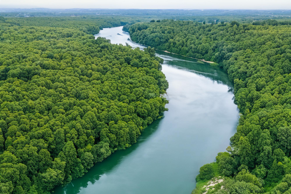 Kaip planuoti kelionę į Amazonės miškus?
