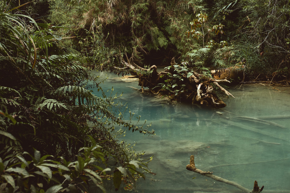 Ką pasiimti į kelionę į Amazonės miškus?