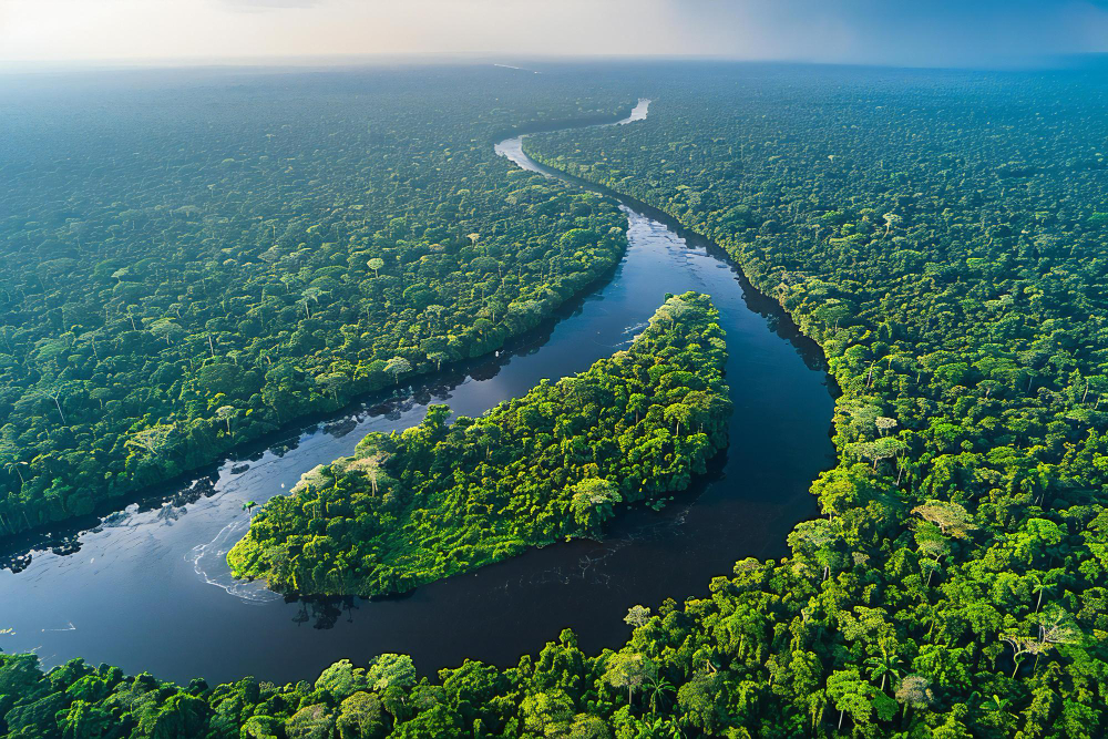 Kodėl Amazonė svarbi ne tik Brazilijai, bet ir visam pasauliui?