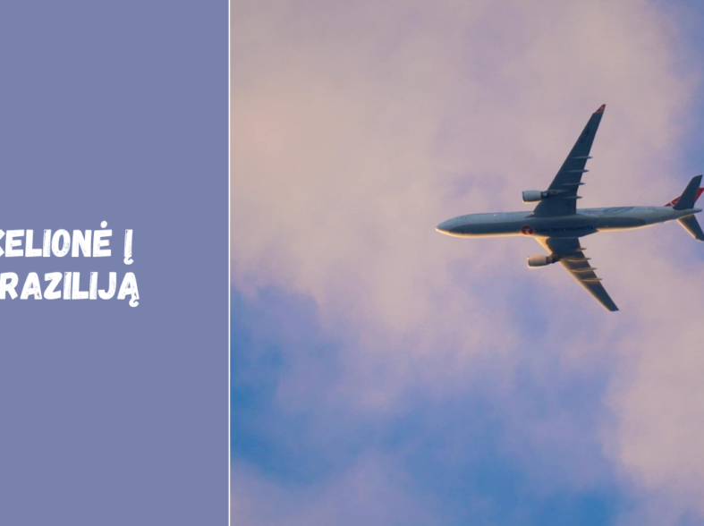 Kelionė į Braziliją: skrydžiai, bilietai ir naudingi patarimai turistams