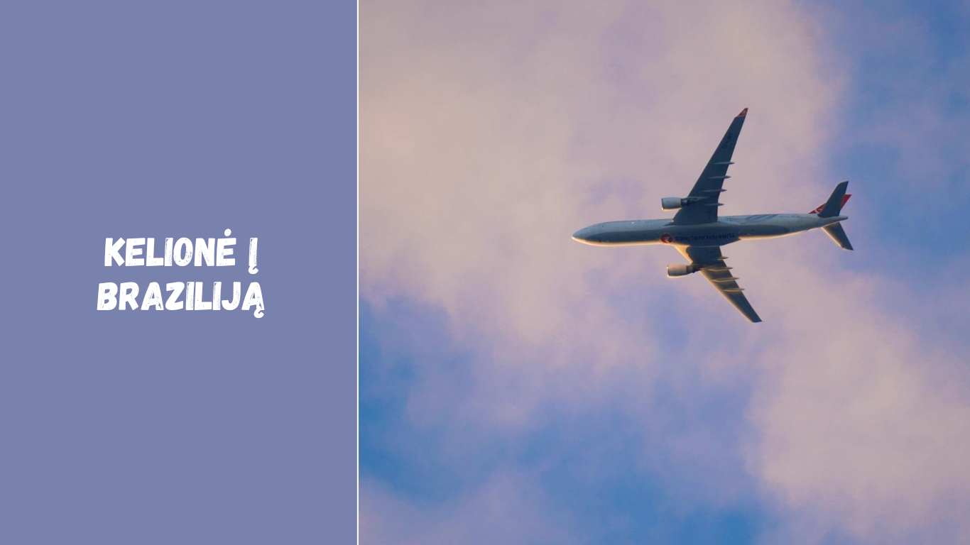 Kelionė į Braziliją: skrydžiai, bilietai ir naudingi patarimai turistams