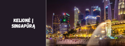 Kelionė į Singapūrą: ką svarbu žinoti prieš vykstant