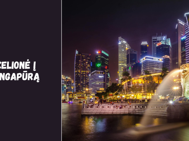 Kelionė į Singapūrą: ką svarbu žinoti prieš vykstant