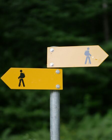 Kai tikimybių vertinimas keičia kelionių sprendimus