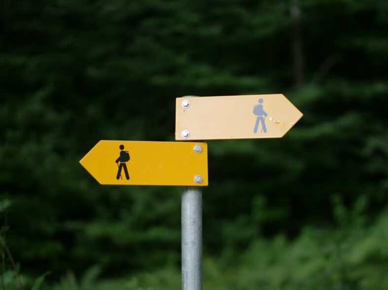 Kai tikimybių vertinimas keičia kelionių sprendimus