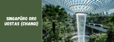 Singapūro oro uostas (Changi): ką verta žinoti keliautojams