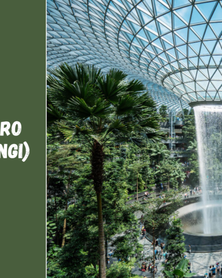 Singapūro oro uostas (Changi): ką verta žinoti keliautojams