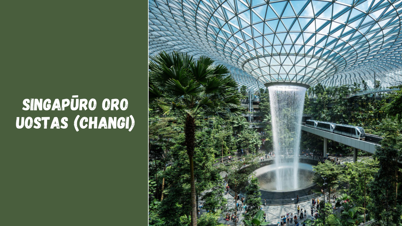 Singapūro oro uostas (Changi): ką verta žinoti keliautojams