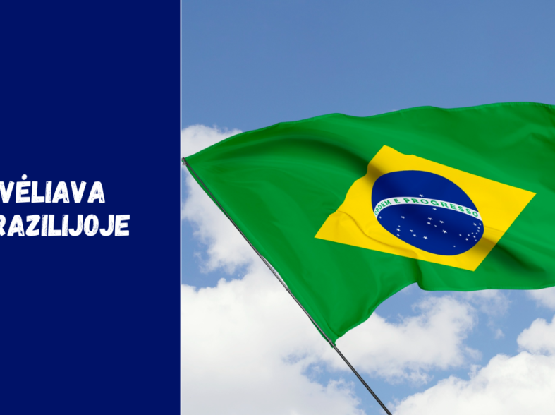 Vėliava Brazilijoje