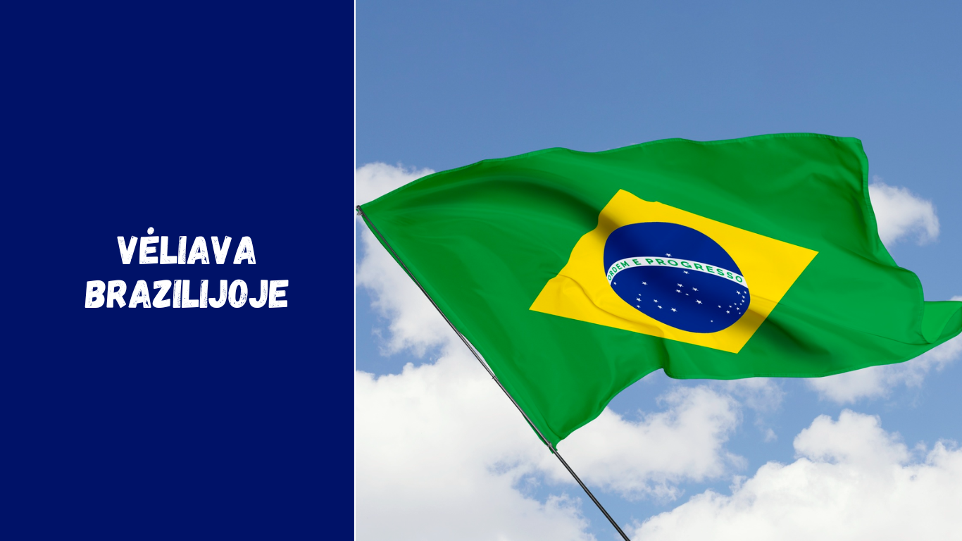Vėliava Brazilijoje