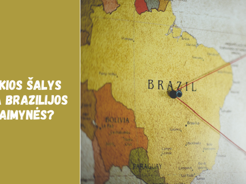 Kokios šalys yra Brazilijos kaimynės? Geografija ir santykiai su Argentina