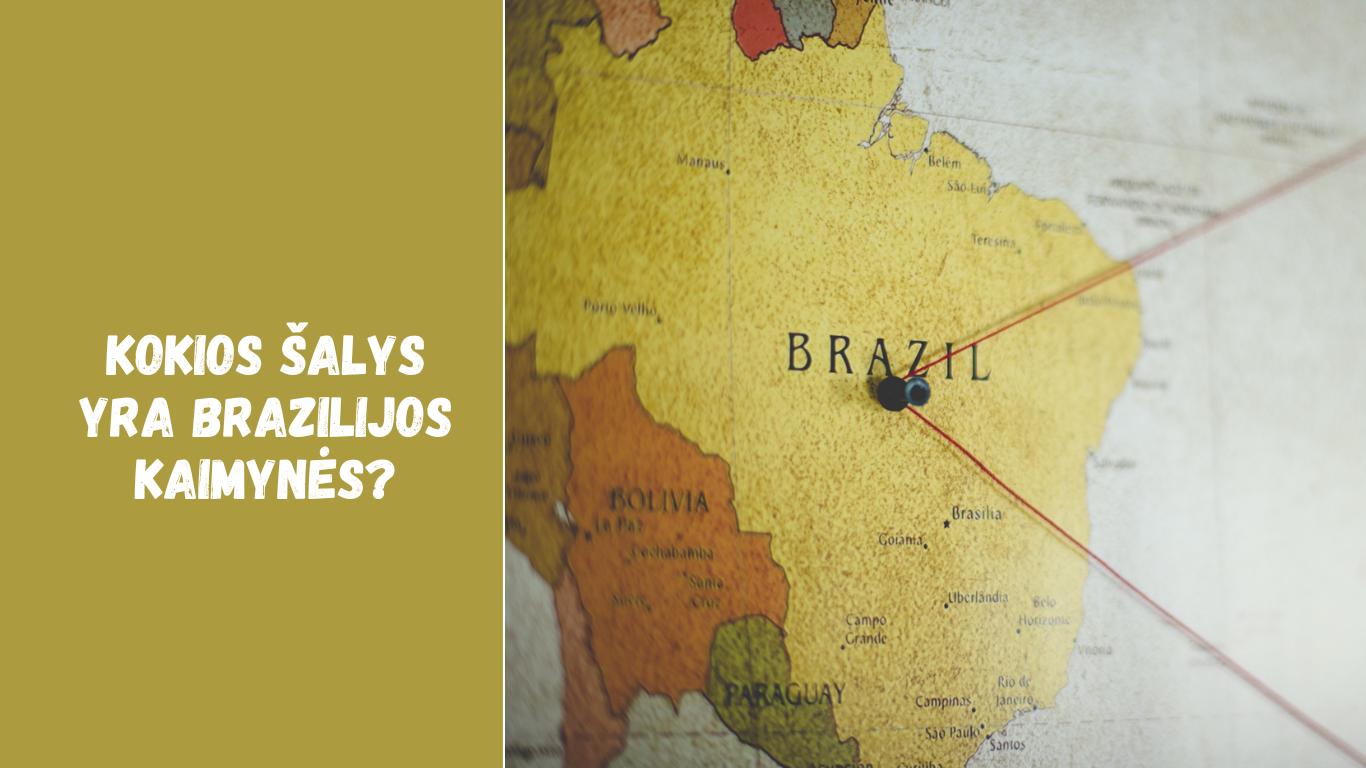 Kokios šalys yra Brazilijos kaimynės? Geografija ir santykiai su Argentina