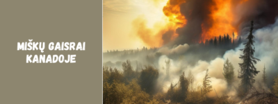 Miškų gaisrai Kanadoje: priežastys ir poveikis gamtai