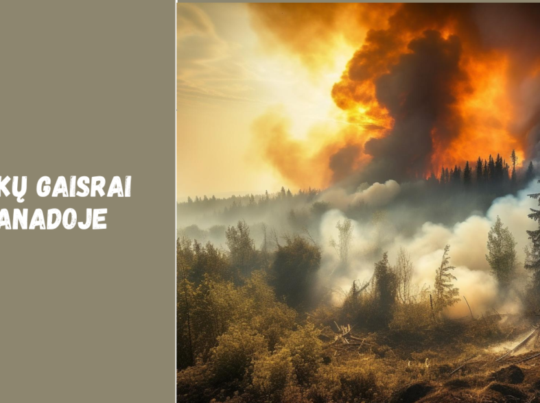 Miškų gaisrai Kanadoje: priežastys ir poveikis gamtai