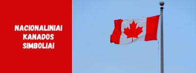 Nacionaliniai Kanados simboliai: gyvūnas, medis ir jų reikšmė
