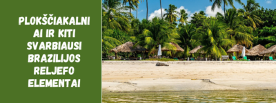 Plokščiakalniai ir kiti svarbiausi Brazilijos reljefo elementai