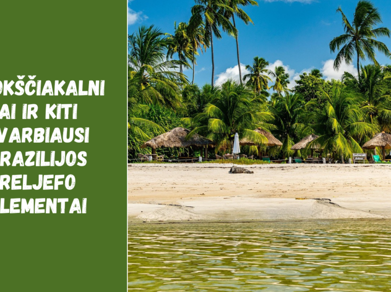 Plokščiakalniai ir kiti svarbiausi Brazilijos reljefo elementai