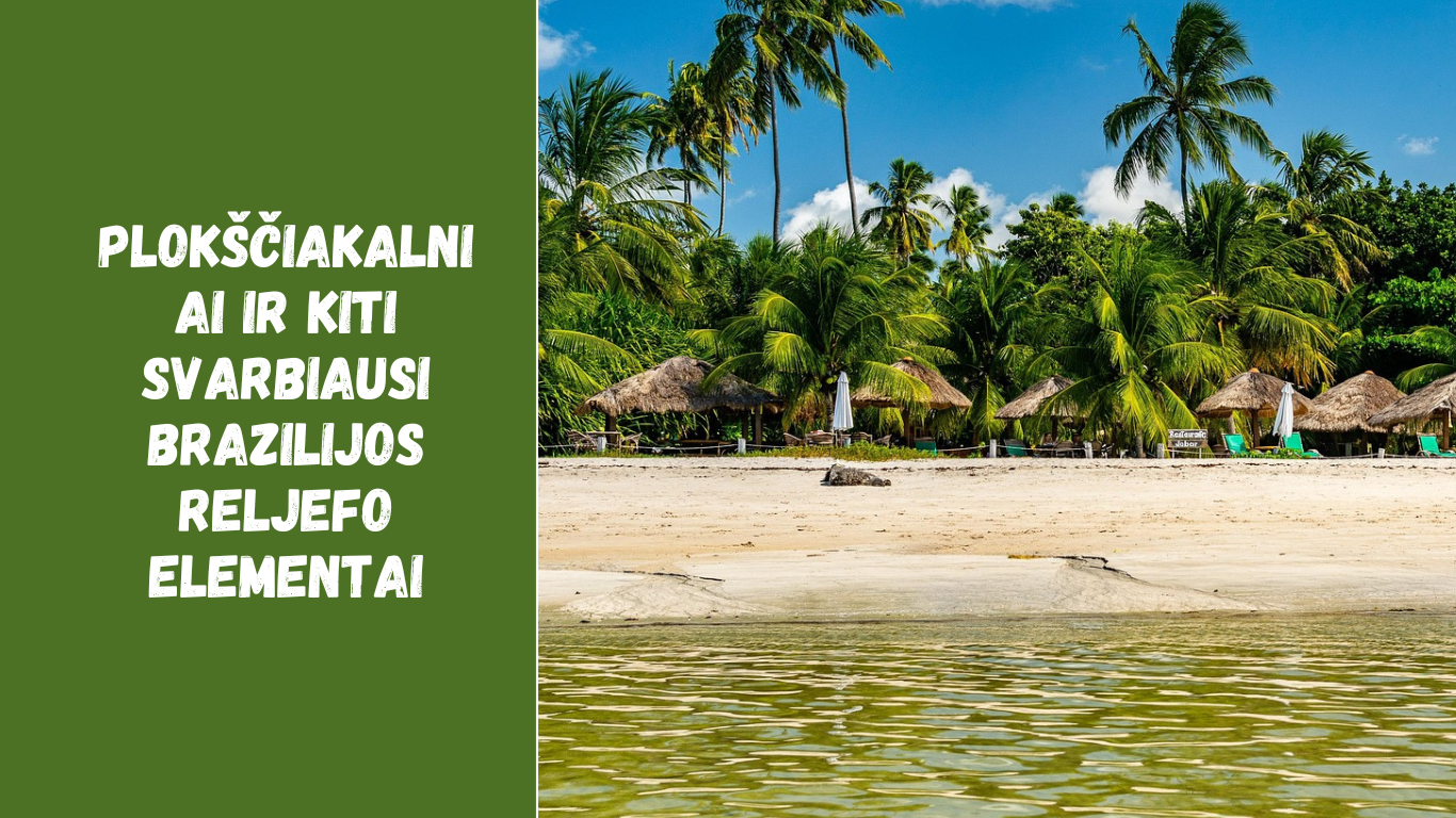 Plokščiakalniai ir kiti svarbiausi Brazilijos reljefo elementai