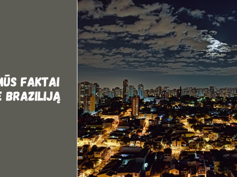 Įdomūs faktai apie Braziliją, kurių galbūt nežinojote