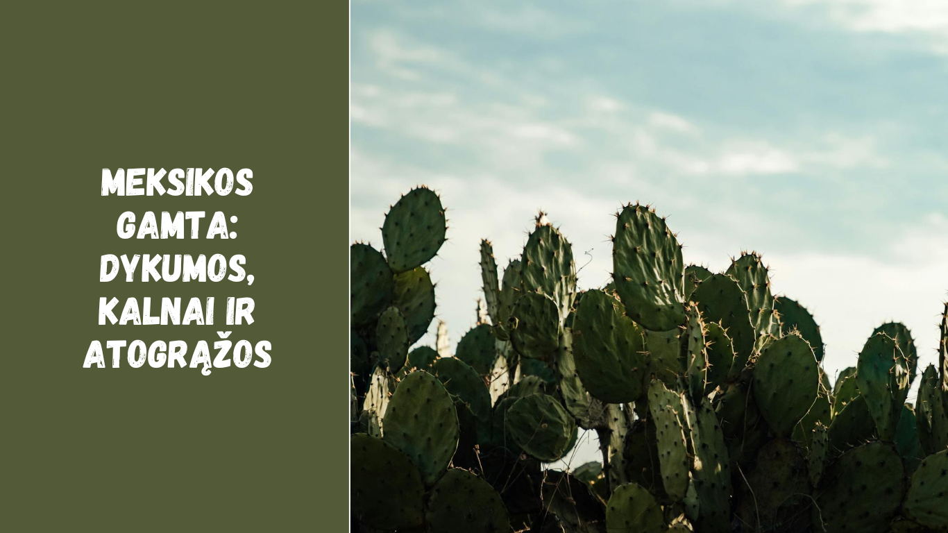 Meksikos gamta: dykumos, kalnai ir atogrąžos