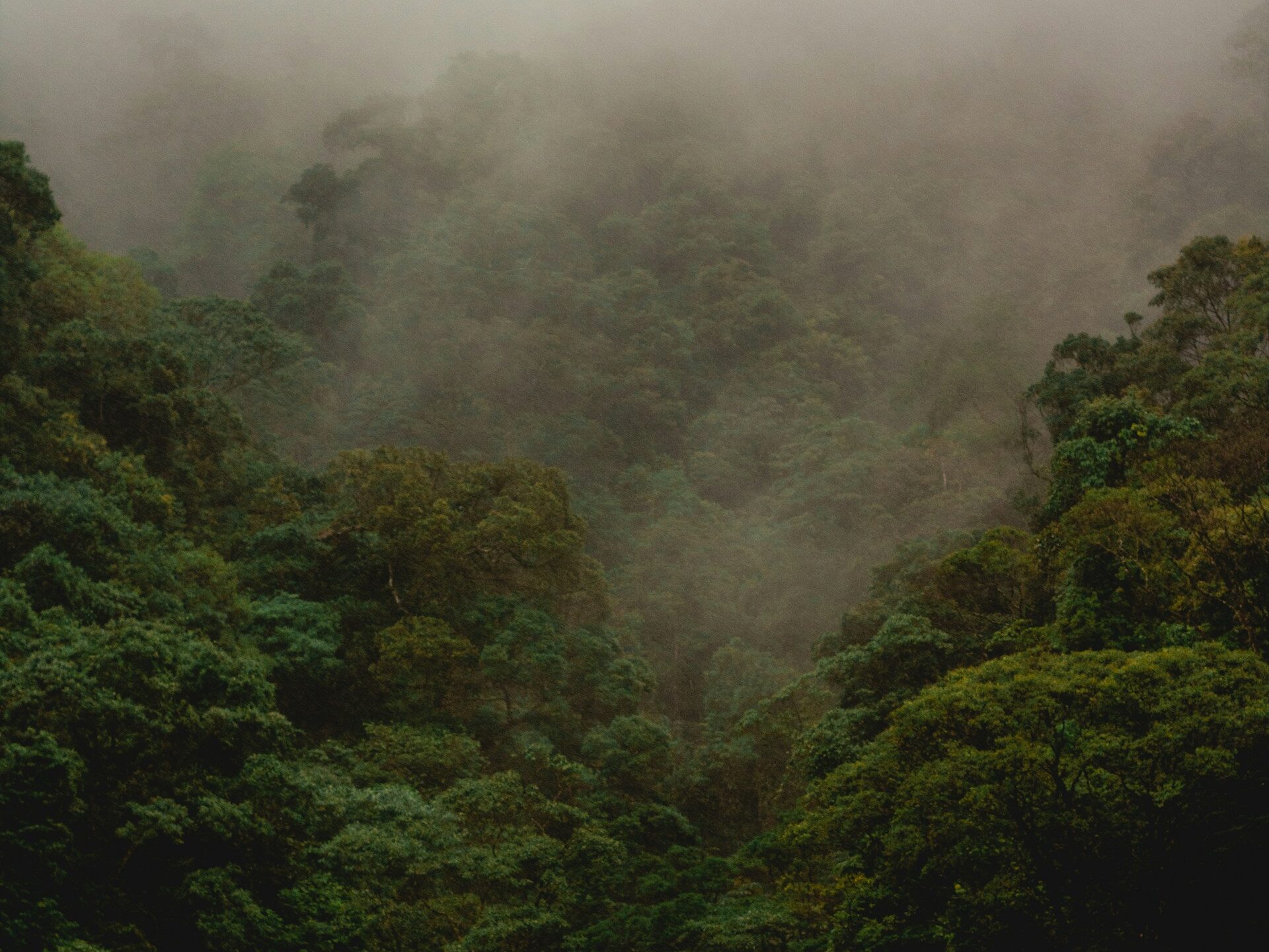 Lietaus sezonas Brazilijoje: ką verta žinoti