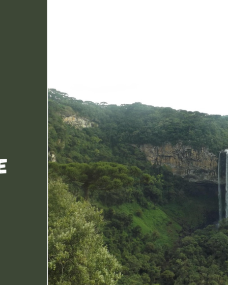 Pavojingi gyvūnai Brazilijoje: gyvatės, vorai ir kiti laukinės gamtos pavojai