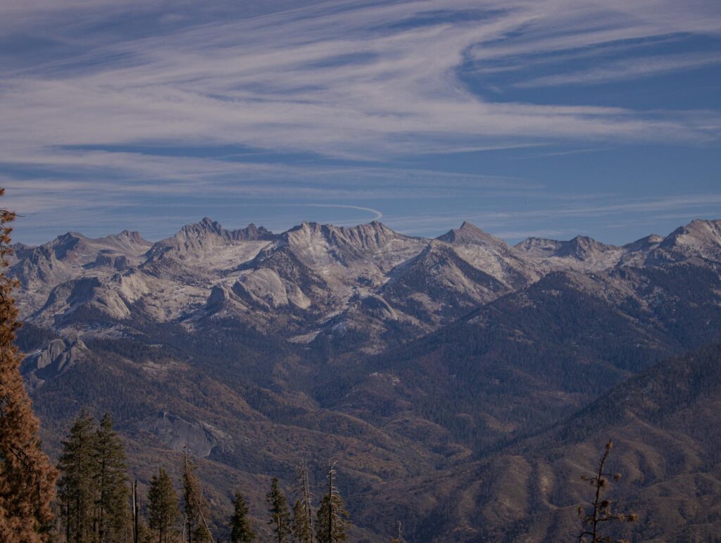 Gyvūnija ir augalija kalnuose