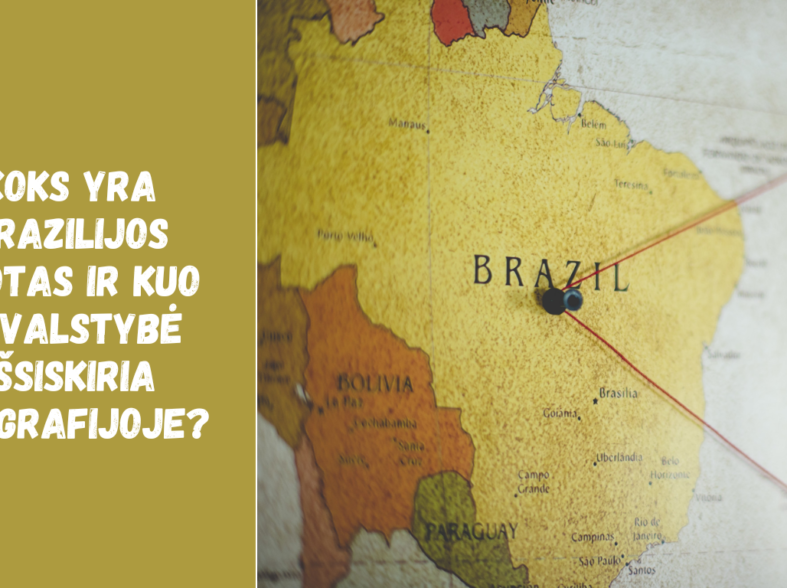 Koks yra Brazilijos plotas ir kuo ši valstybė išsiskiria geografijoje?