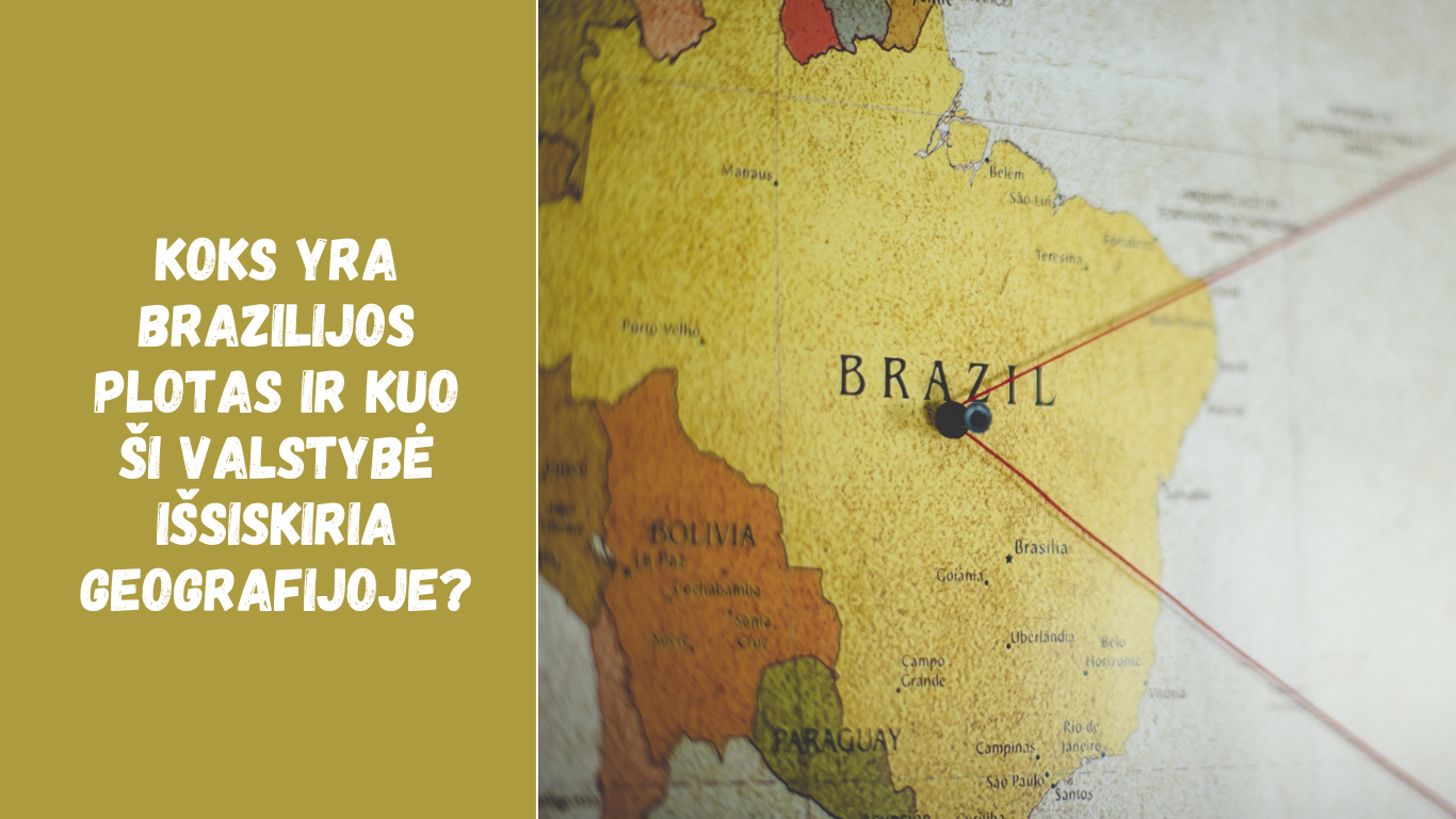 Koks yra Brazilijos plotas ir kuo ši valstybė išsiskiria geografijoje?
