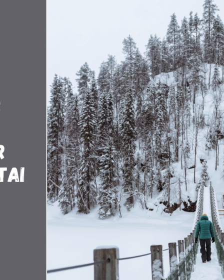 Suomijos vėliava, herbas ir įdomūs faktai