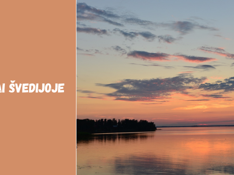 Orai Švedijoje: klimatas, metų laikai ir prognozės